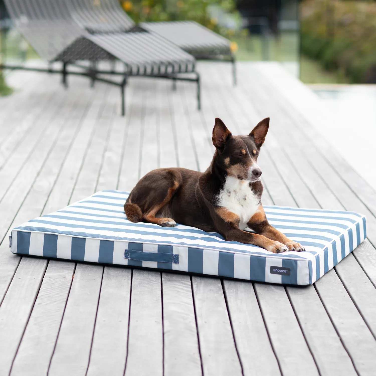 Alfresco Dream Orthobed