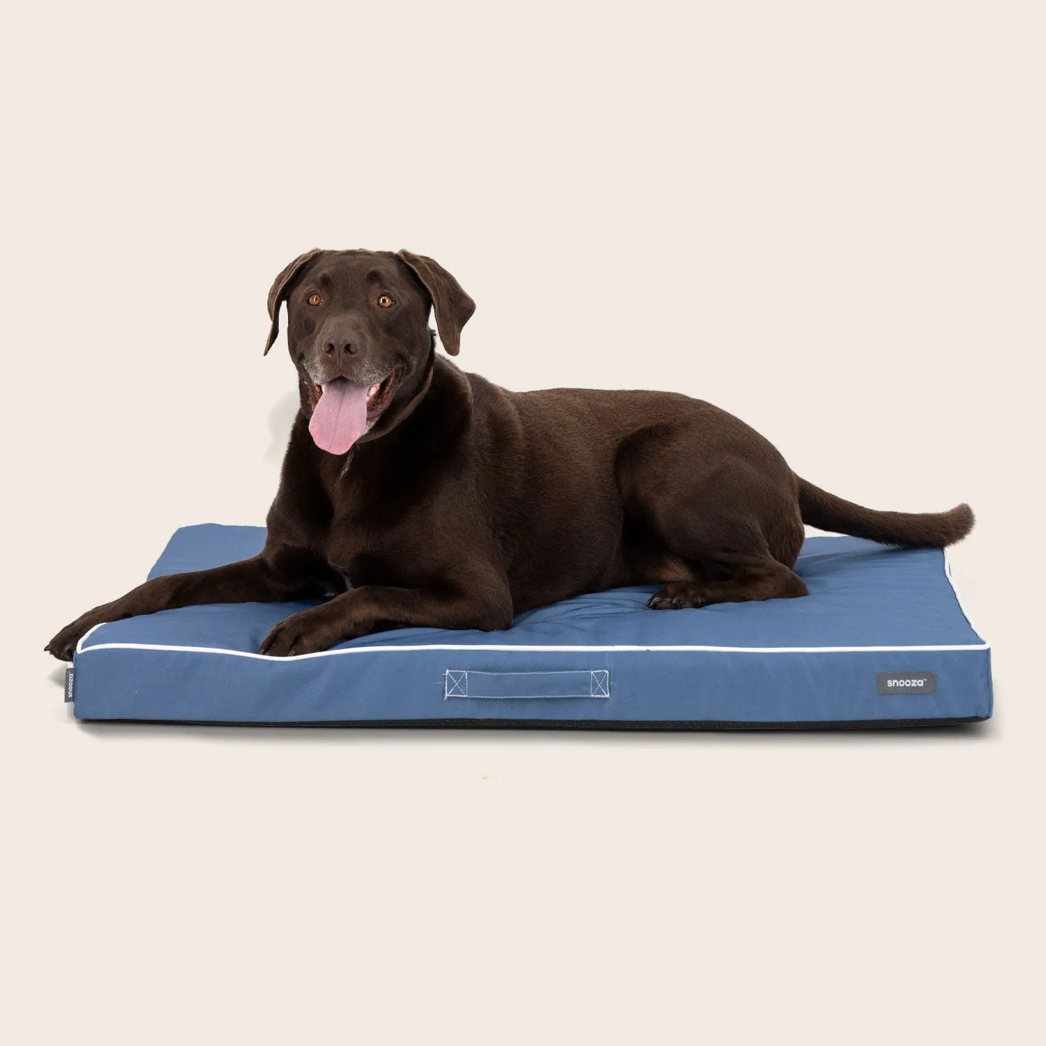 Alfresco Dream Orthobed