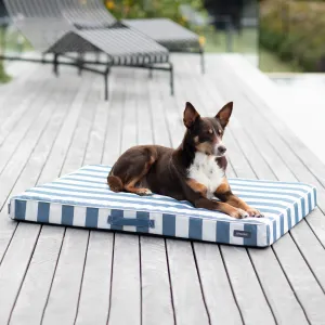 Alfresco Dream Orthobed