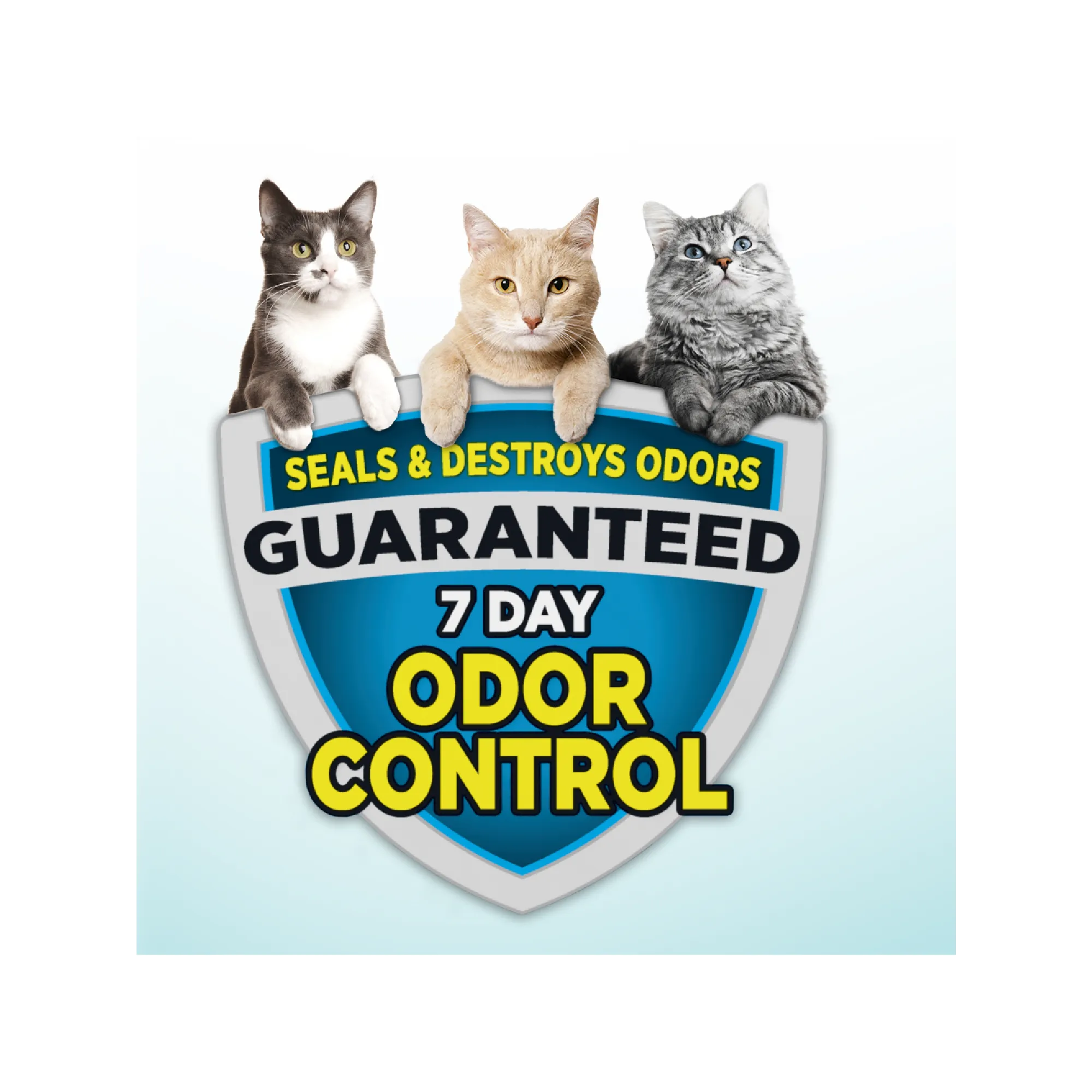 ARM & HAMMER Cloud Control Multi-Cat Clumping Cat Litter with Hypoallergenic Light Scent, 28 lb