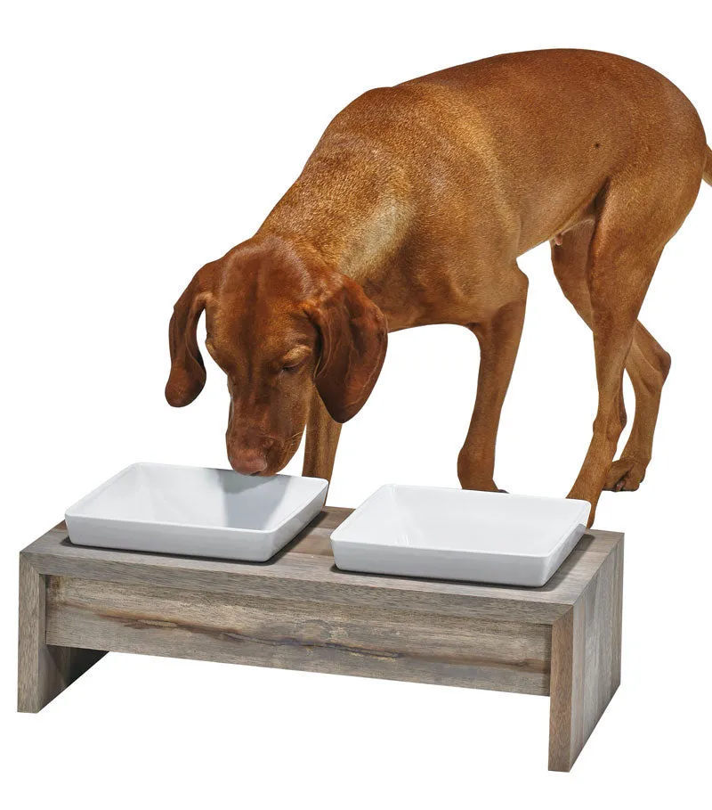 Artisan Double Bowl Dog Feeder With Wood Stand - Fossil