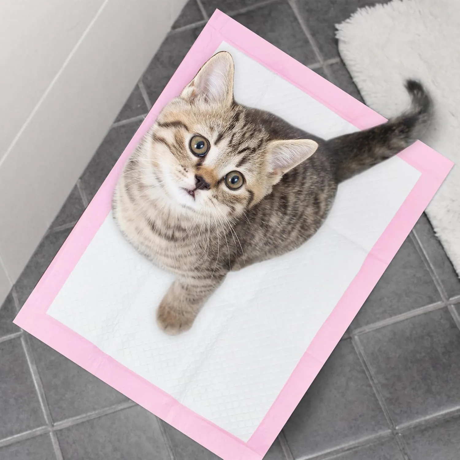 Basics Dog and Puppy Pee Pads with 4-Layer Leak-Proof and Quick-Dry Design for Potty Training, 13 x 17 Ultra Absorbent Disposable Changing Pads for Small Pets -Pink(25 Count)