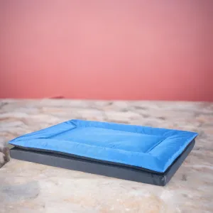 Chew Proof and Water repellent Two in one Dog Bed - Blue