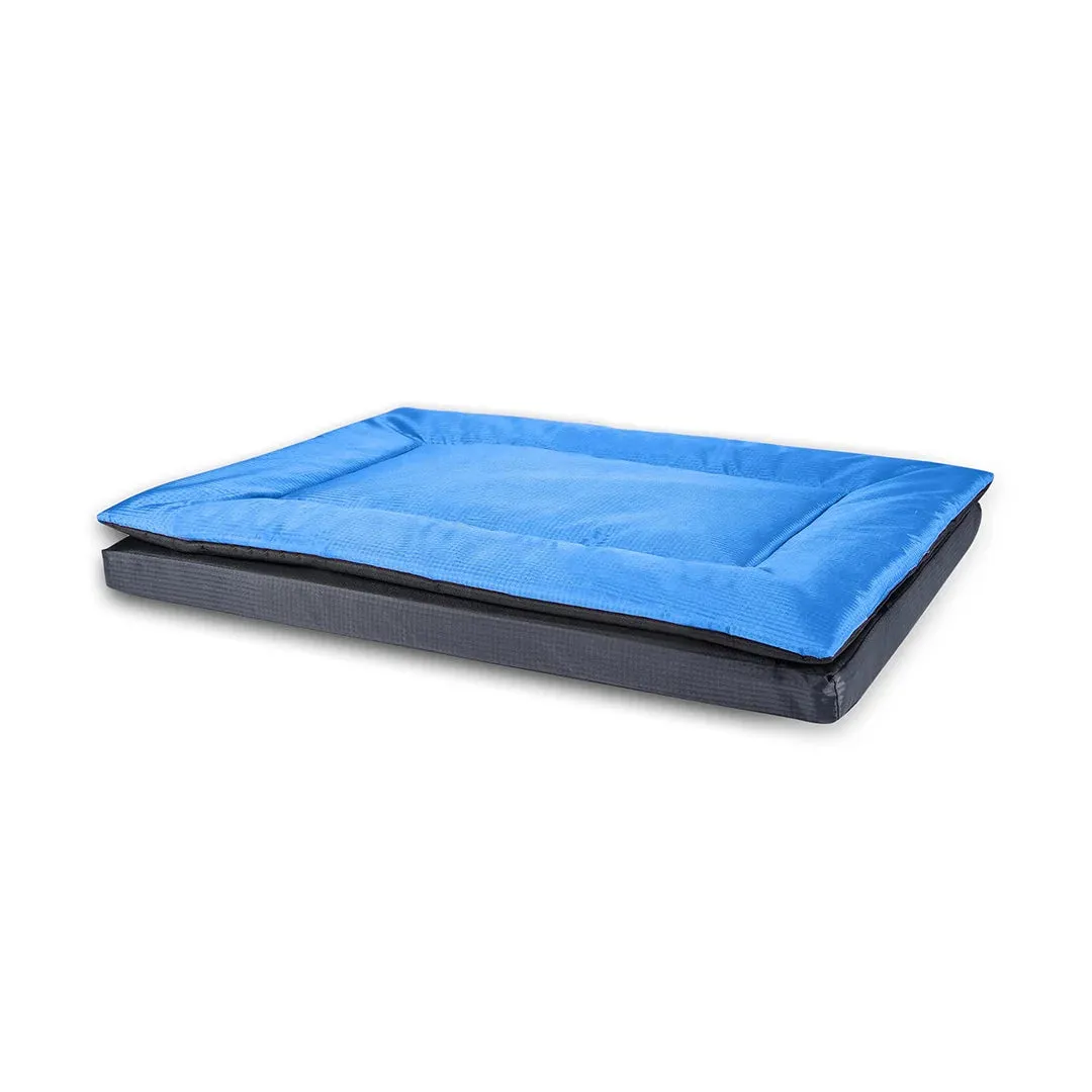 Chew Proof and Water repellent Two in one Dog Bed - Blue