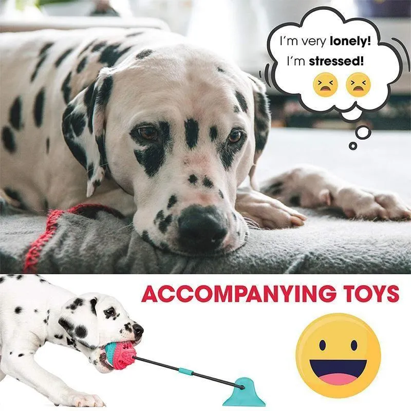 Chew toys for dogs