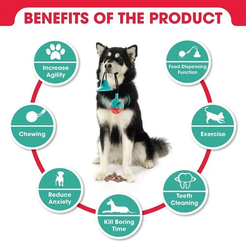 Chew toys for dogs