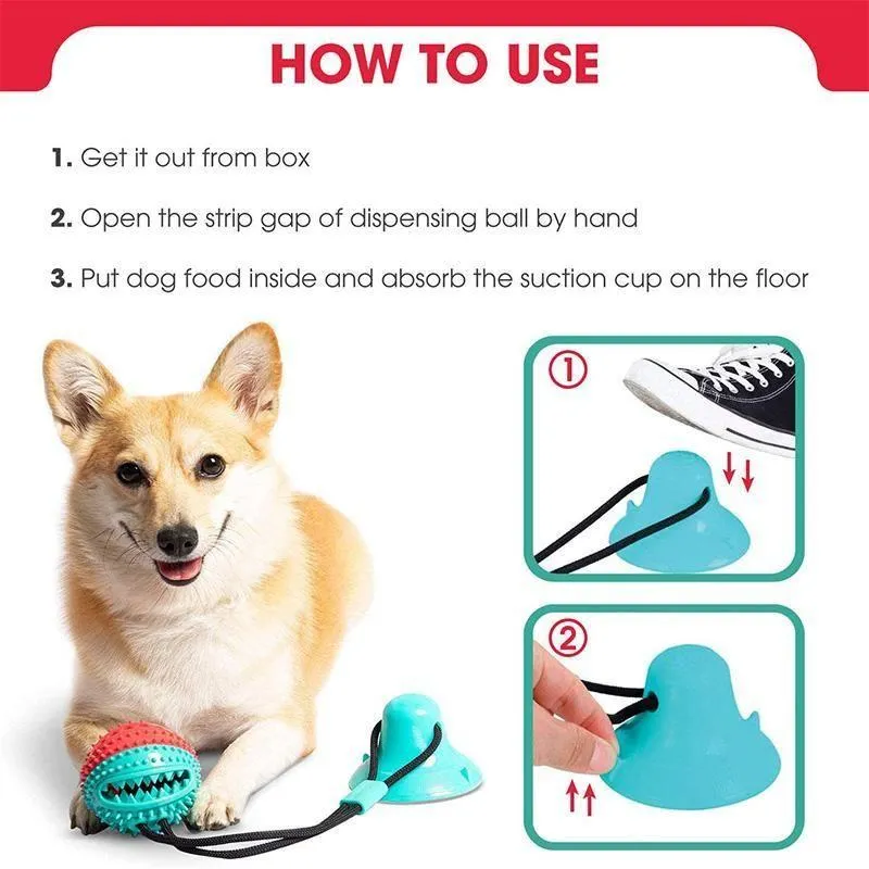 Chew toys for dogs