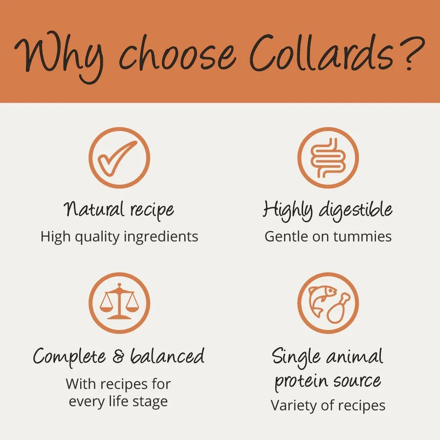 Collards Grain Free Turkey Adult Wet Dog Food 12 x 390g Cans