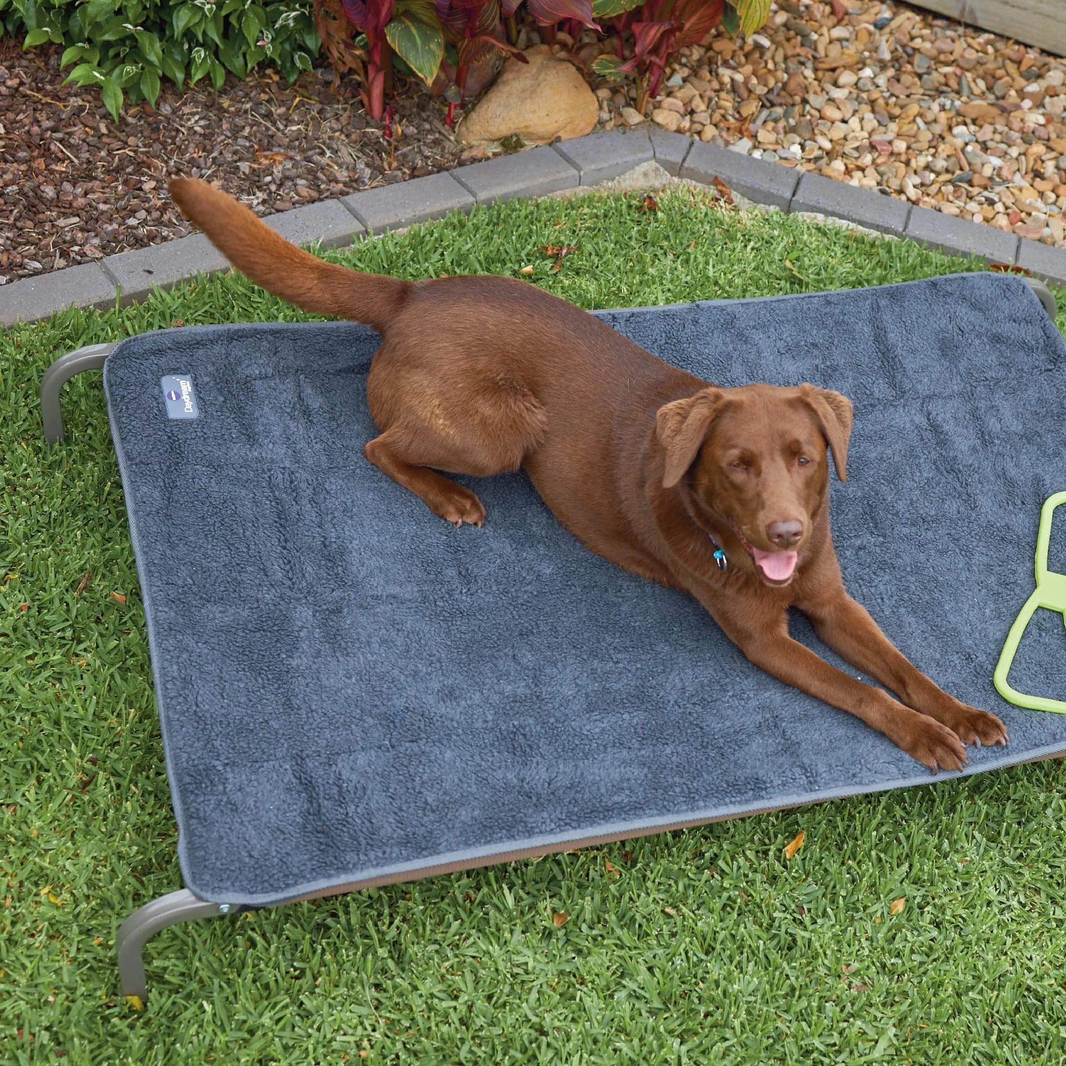 Comfy Outdoor Dog Bed Cover - Grey