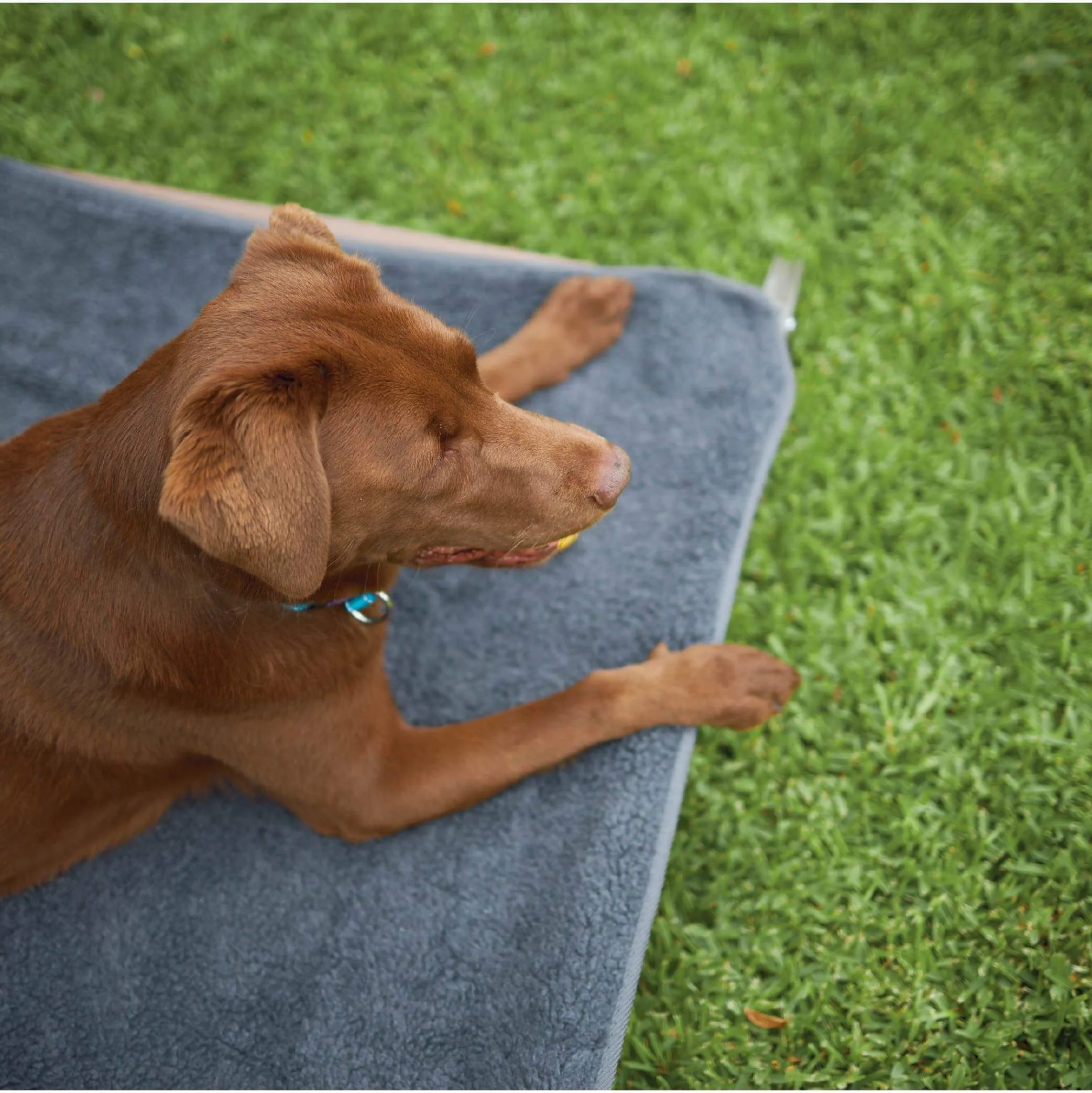 Comfy Outdoor Dog Bed Cover - Grey
