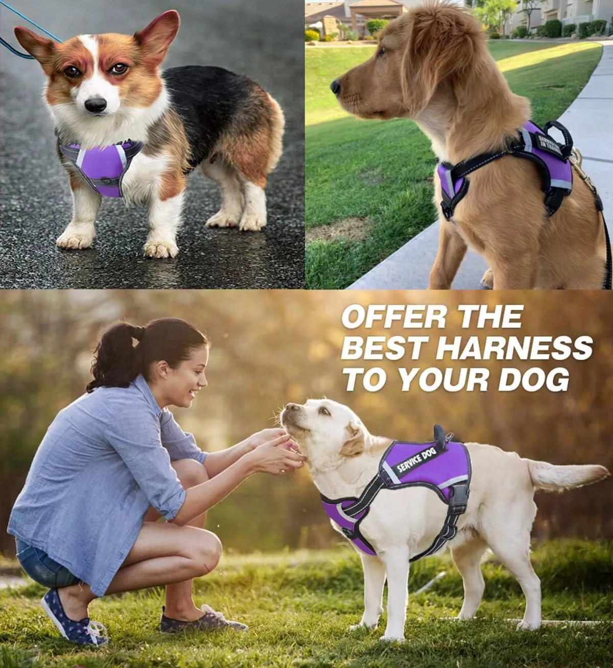 Cymiler Dog Harness,No-Pull Service Dog Harness with Handle,Adjustable Comfort Pet Dog Vest Harness for Outdoor Walking,3M Reflective Vest Easy Control for Small Medium Large Breed