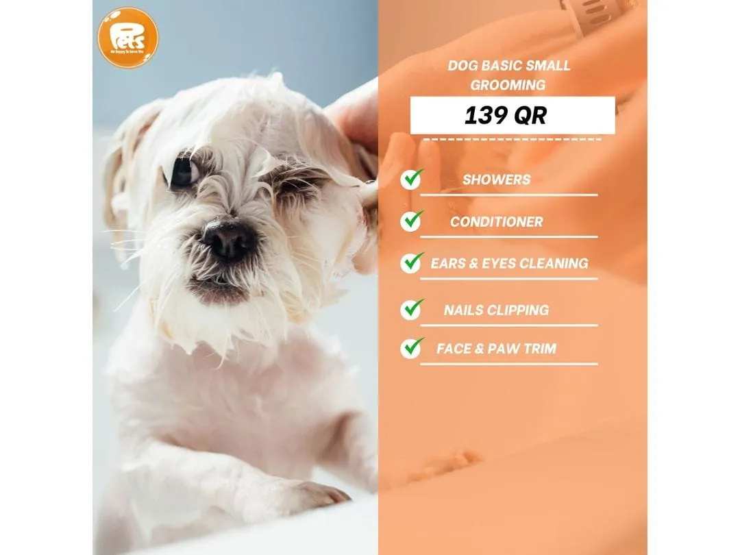 Dog Grooming Smal Basic