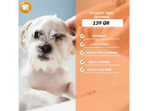 Dog Grooming Smal Basic