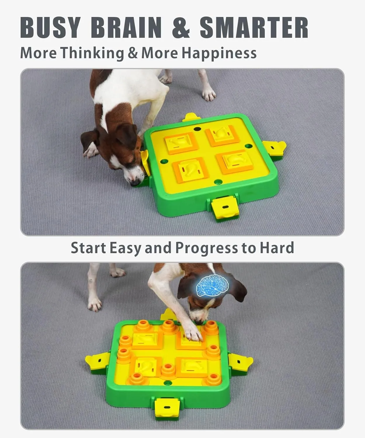 Dog Puzzle Toy, Food Feeder Puzzle, Treat Puzzles for Mental Stimulation Brain Stimulating