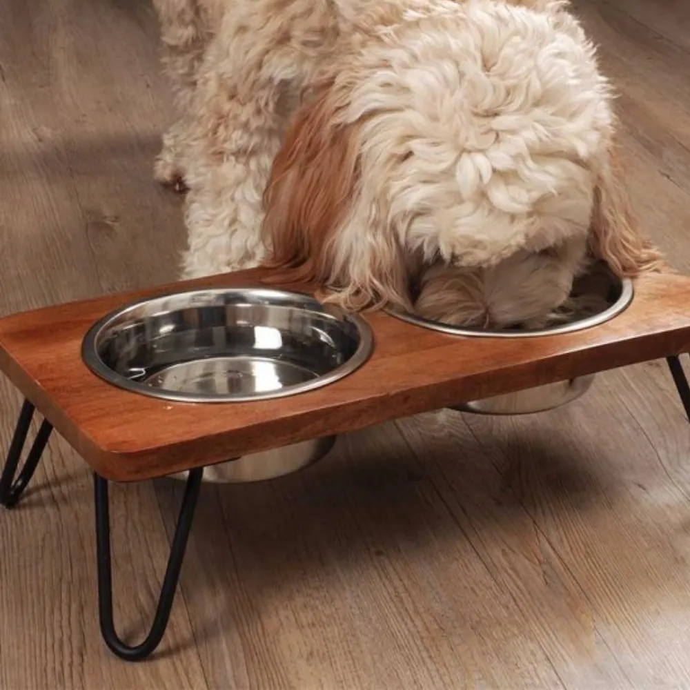 Double Diner Dog Bowls