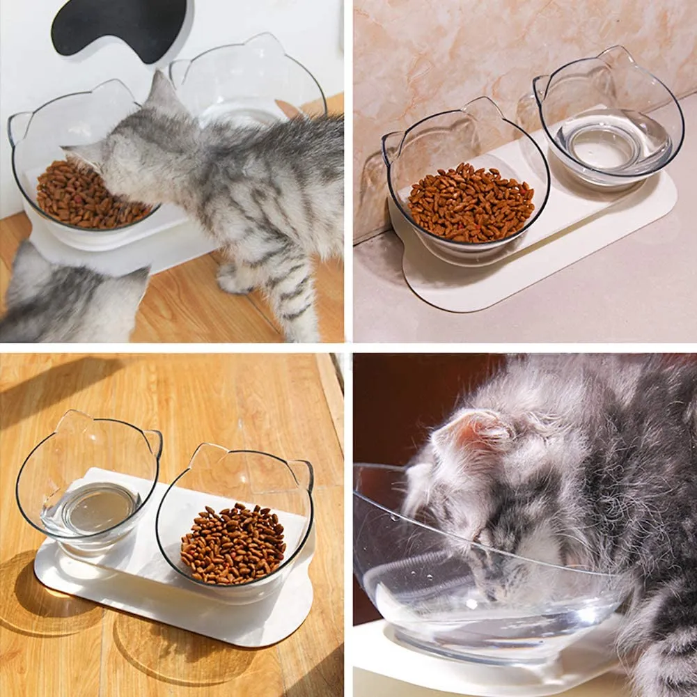 Double Elevated Cat Bowls with Raised Stand, Pet Food Water Feeder Bowl for Cats or Small Dogs
