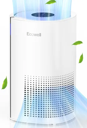 ECOWELL Air Purifiers for Home Large Room Covers Up to 1615 sq.ft, 3-Stage HEPA Filter Air Cleaner to Removes 99.97% for Mold Pollen Smoke Pet Dander Dust Odor EAP250