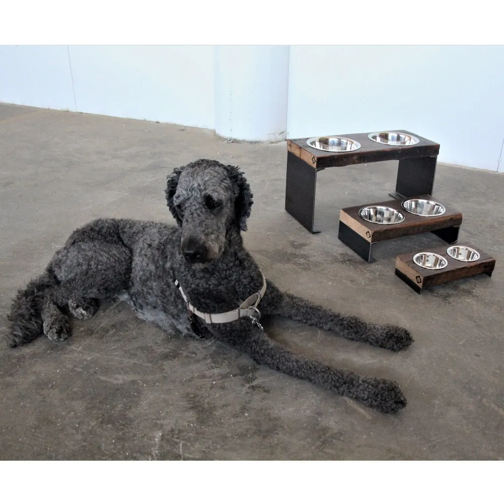 Elevated Dog Bowl : Large