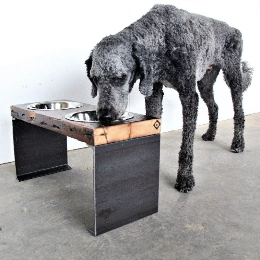 Elevated Dog Bowl : Large