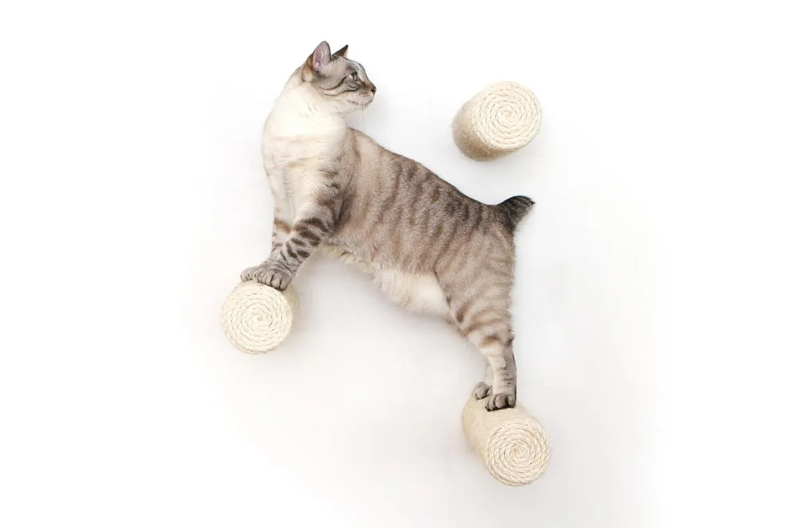 Floating Cat Steps for Wall (Sisal Cat Scratching Post)