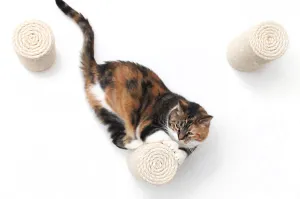 Floating Cat Steps for Wall (Sisal Cat Scratching Post)