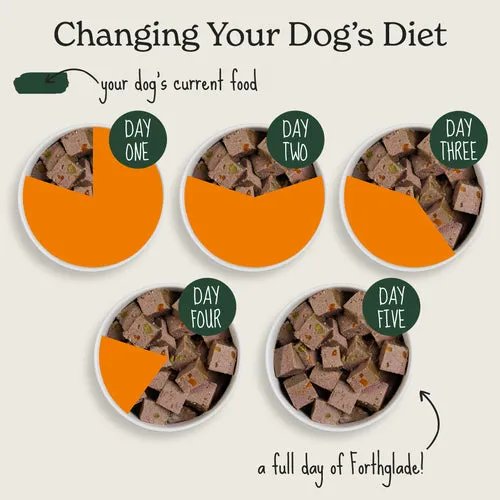 Forthglade | Grain Free Natural Complete Wet Dog Food Tray | Turkey with Sweet Potato & Vegetables - 395g