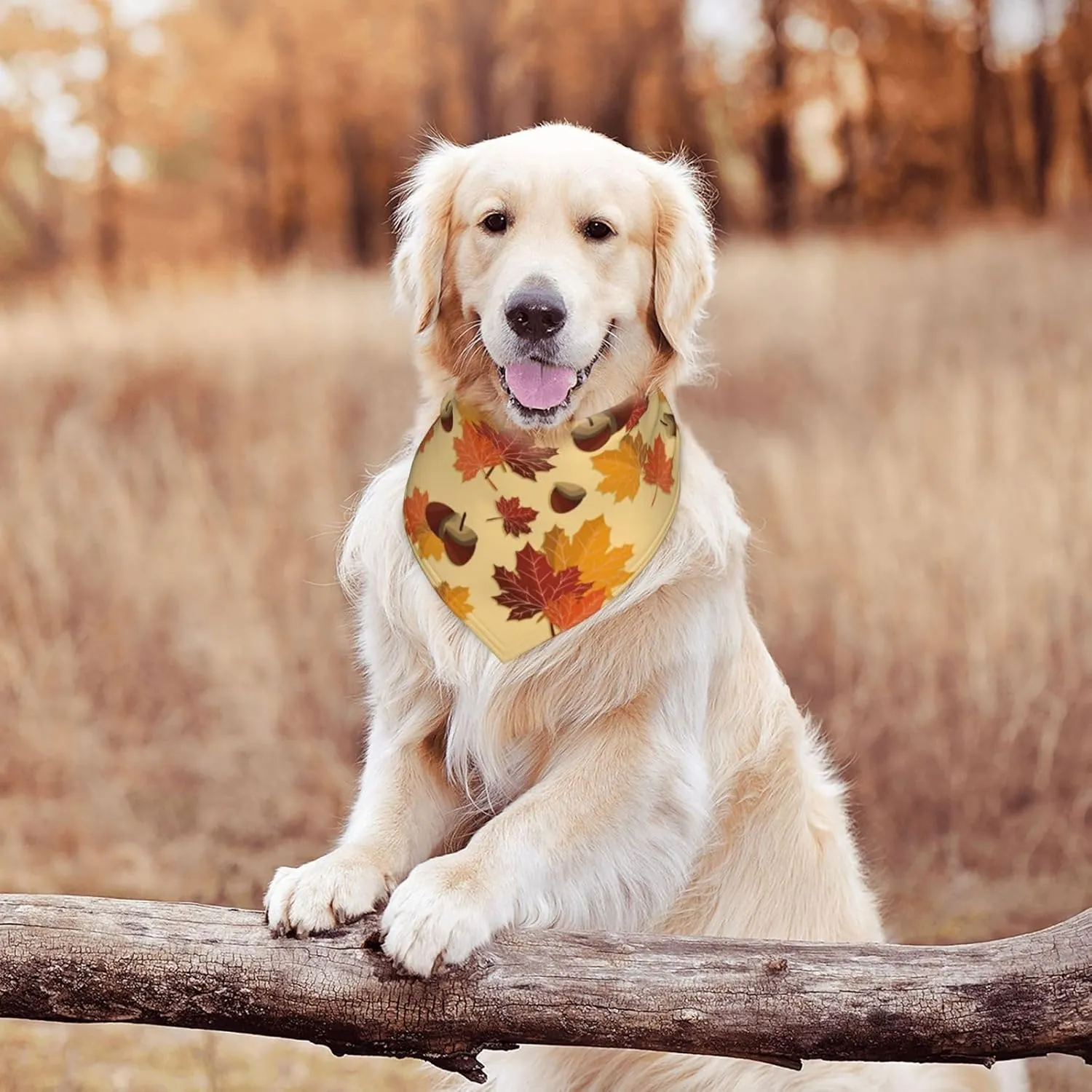 Multicolor Geometric Fall Dog Kerchief Bandana, One Size, Polyester, Tie Closure, Hand Wash Gently