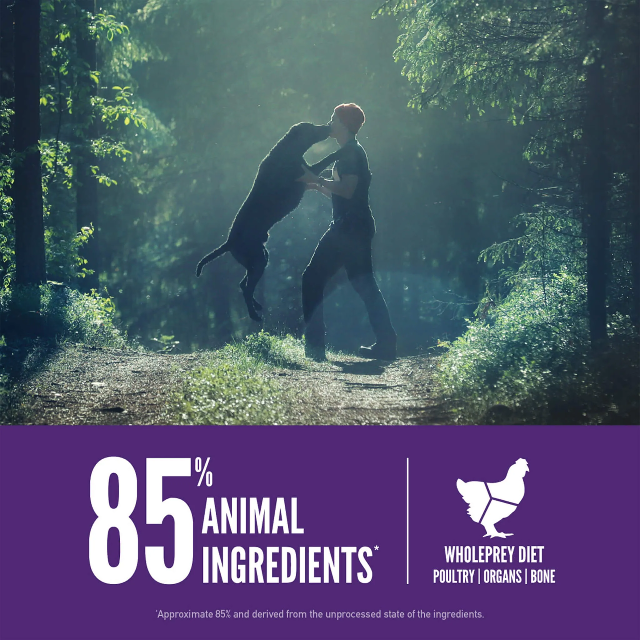 Orijen Grain-Free Dry Dog Food