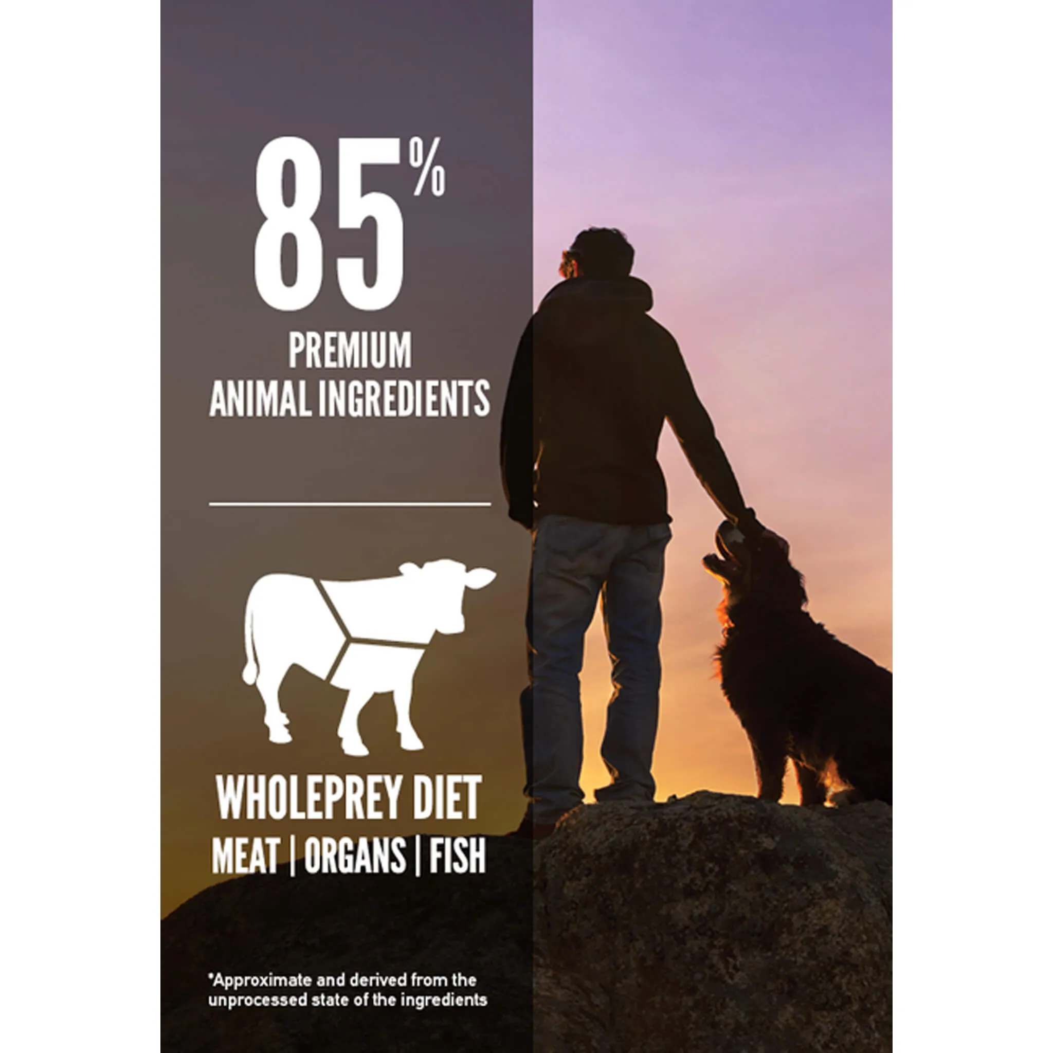 Orijen Grain-Free Dry Dog Food