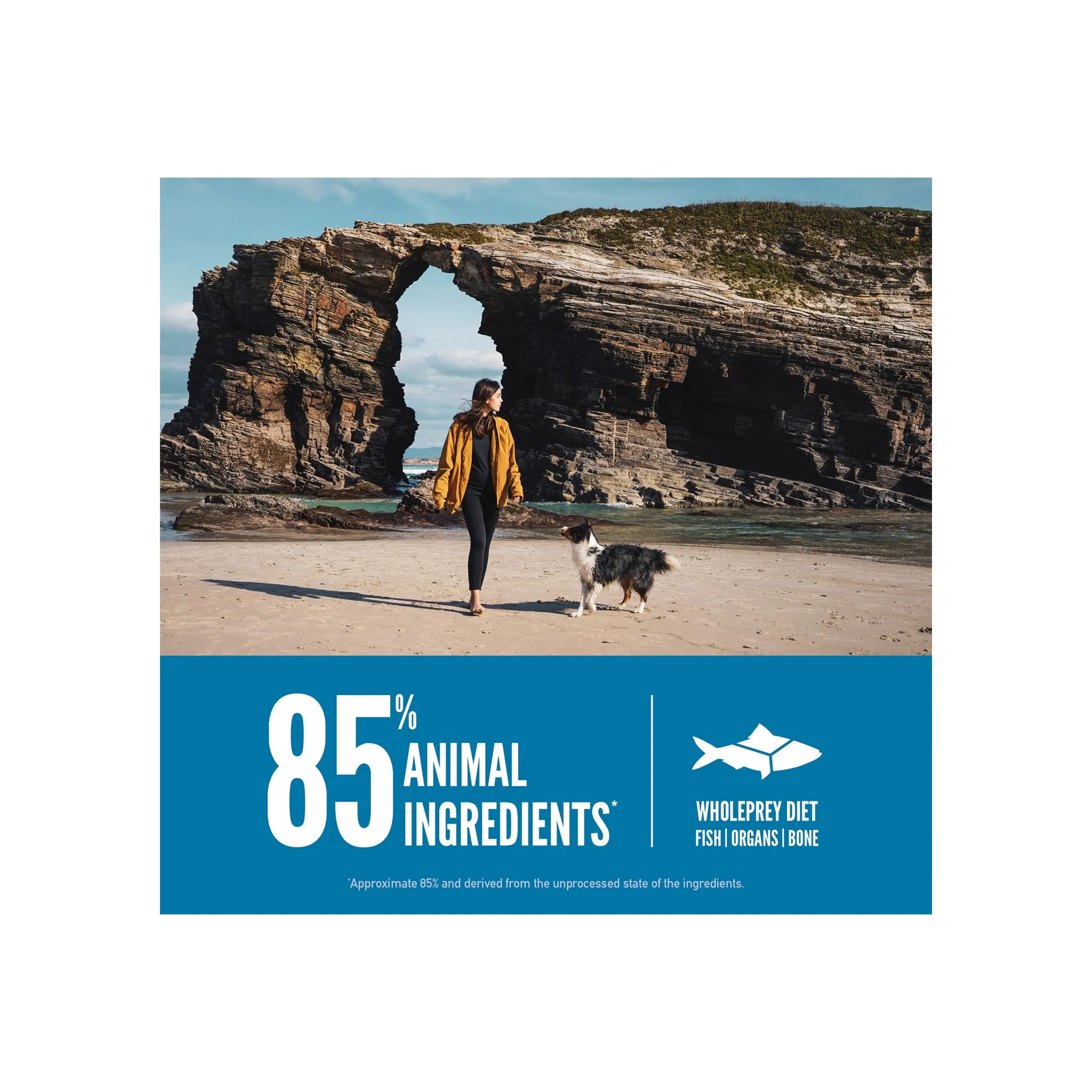 Orijen Grain-Free Dry Dog Food