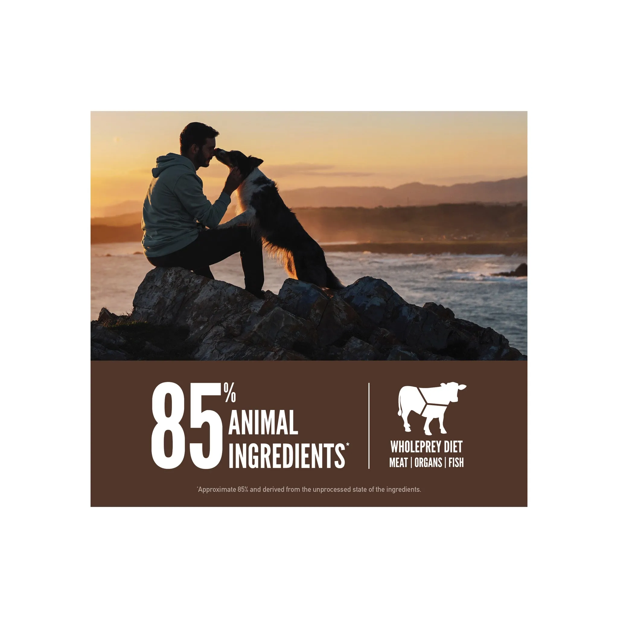 Orijen Grain-Free Dry Dog Food