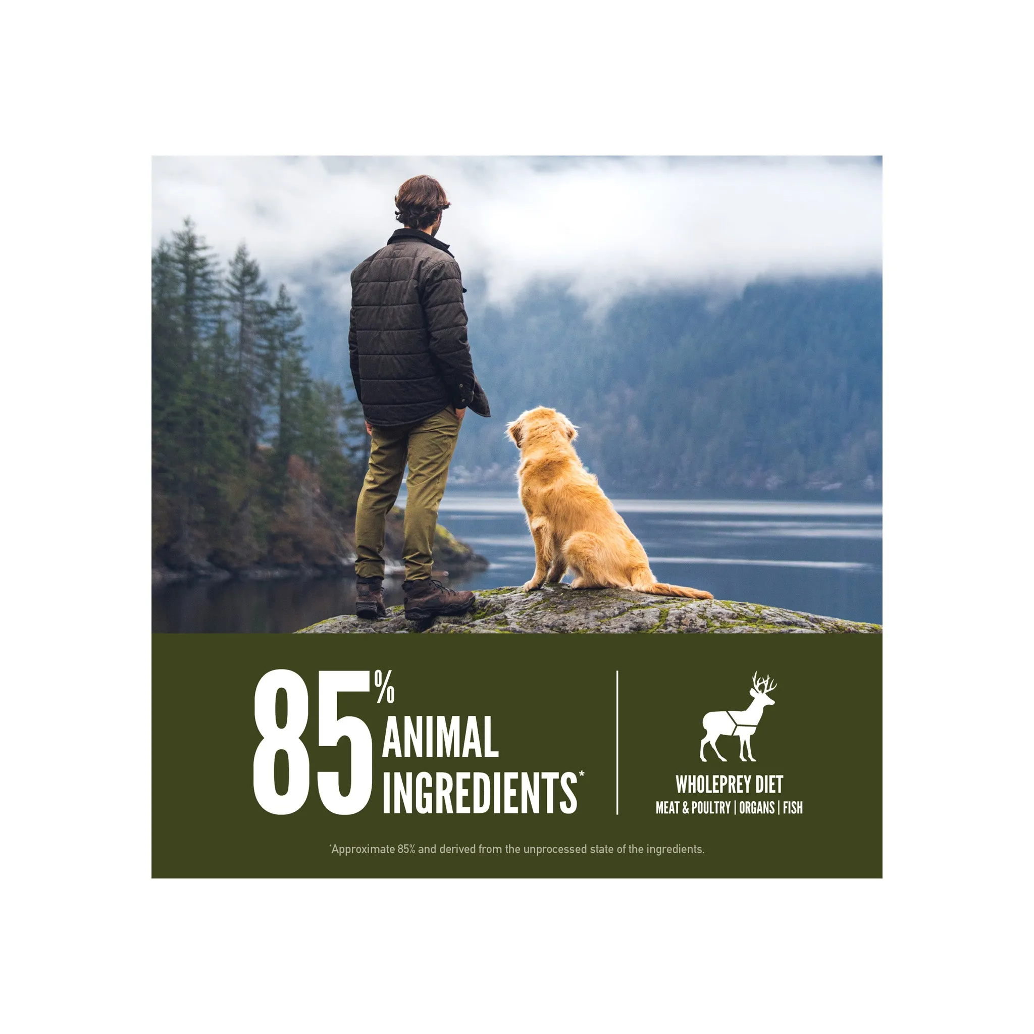 Orijen Grain-Free Dry Dog Food