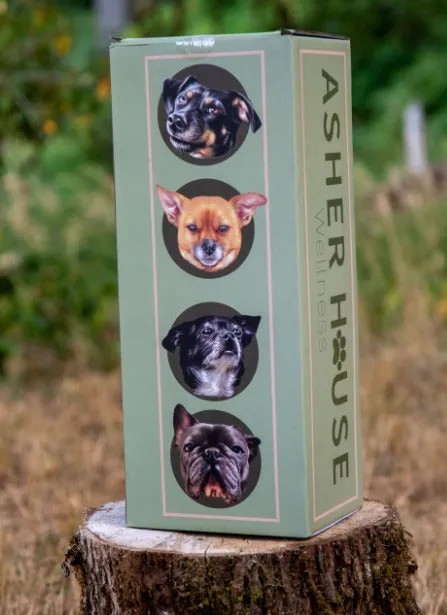Orthopedic Dog Beds (2 Sizes)