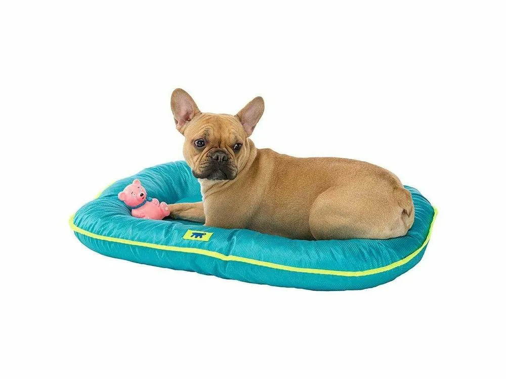 OSCAR 100 CUSCINO AZZURRO