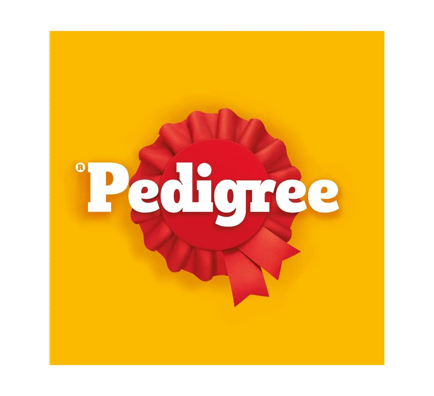 Pedigree - Chunks in Gravy Wet Dog Food Tins - 6 x 400g