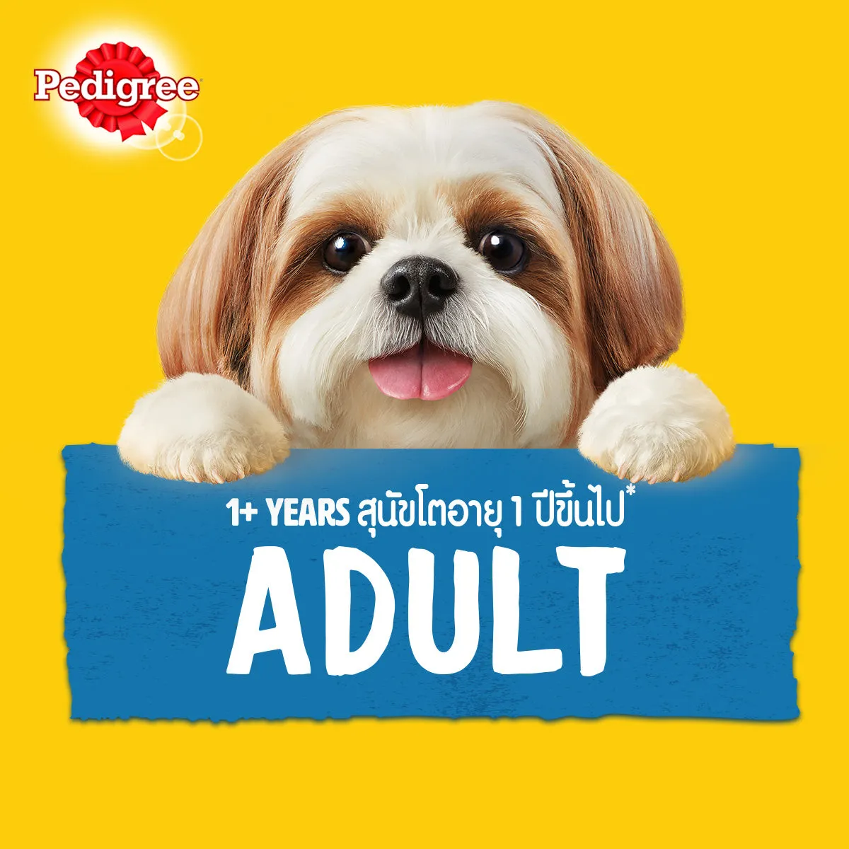PEDIGREE® Dog Food Wet Adult Beef Flavour in Gravy