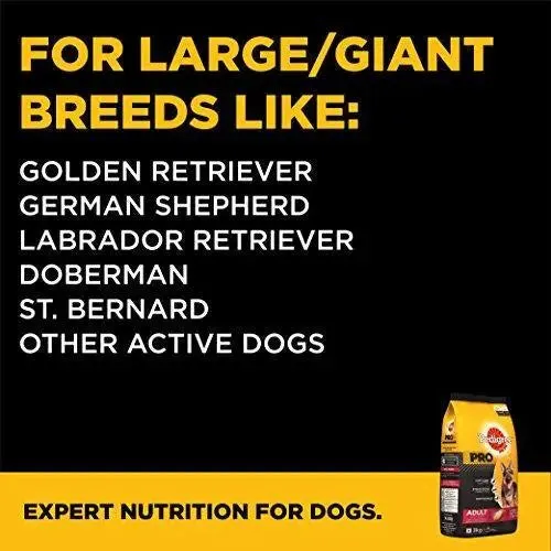 Pedigree Pro Expert Nutrition Dry Food for Active Adult Dogs, Chicken, 3 kg