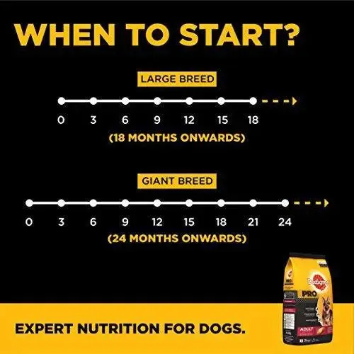 Pedigree Pro Expert Nutrition Dry Food for Active Adult Dogs, Chicken, 3 kg