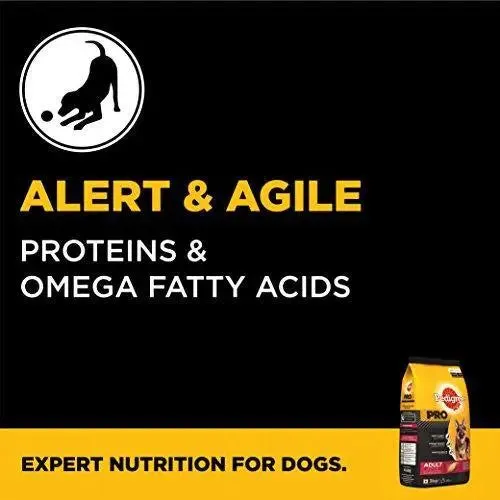 Pedigree Pro Expert Nutrition Dry Food for Active Adult Dogs, Chicken, 3 kg