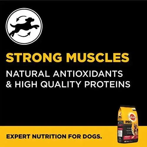 Pedigree Pro Expert Nutrition Dry Food for Active Adult Dogs, Chicken, 3 kg