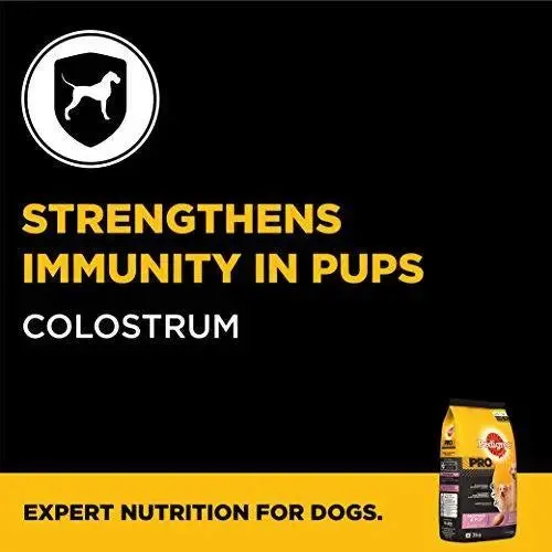 Pedigree Pro Expert Nutrition Dry Food, Starter Mother and Pup for Dogs, Chicken, 3 kg