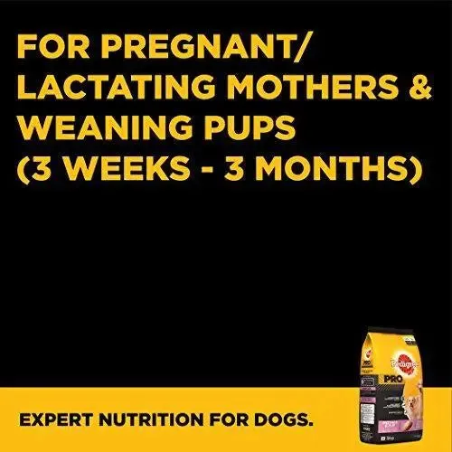 Pedigree Pro Expert Nutrition Dry Food, Starter Mother and Pup for Dogs, Chicken, 3 kg