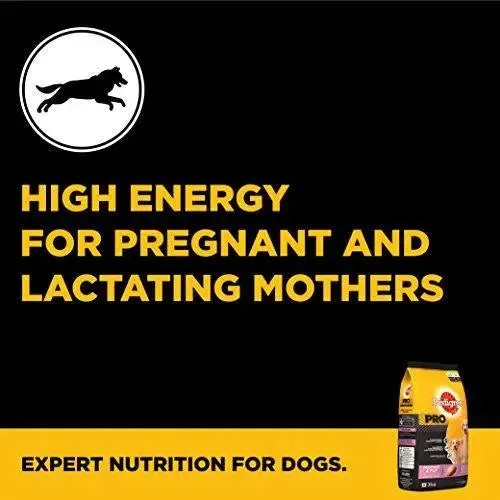 Pedigree Pro Expert Nutrition Dry Food, Starter Mother and Pup for Dogs, Chicken, 3 kg