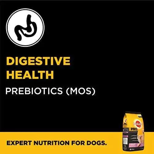 Pedigree Pro Expert Nutrition Dry Food, Starter Mother and Pup for Dogs, Chicken, 3 kg