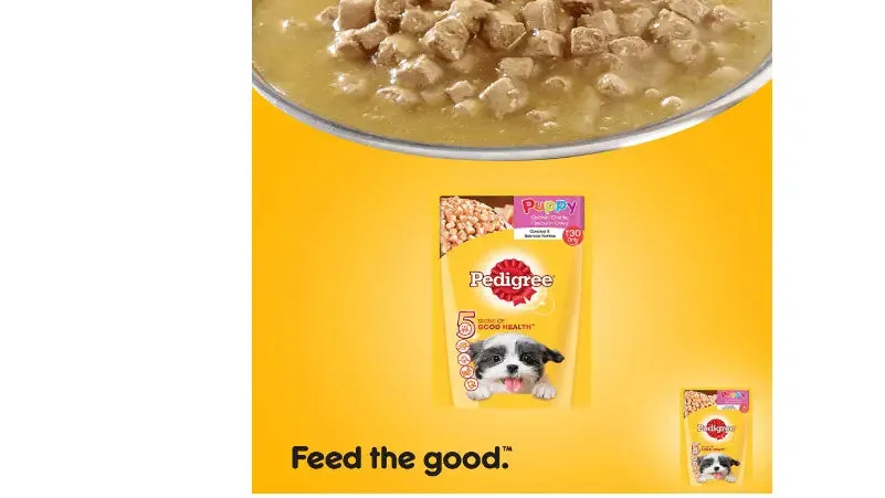 Pedigree Puppy Chicken Chunks Gravy Pouch Dog Food - 80 Gm (Pack Of 24) Chicken 2.5 kg Wet Dog Food