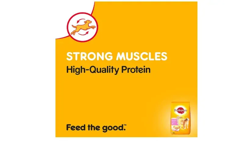 Pedigree Puppy Dog Food Chicken & Milk, 10 kg Pack