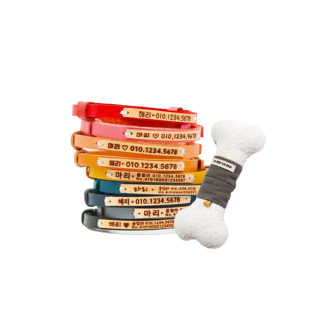 Pet Collar & Upcycling Pet Toys