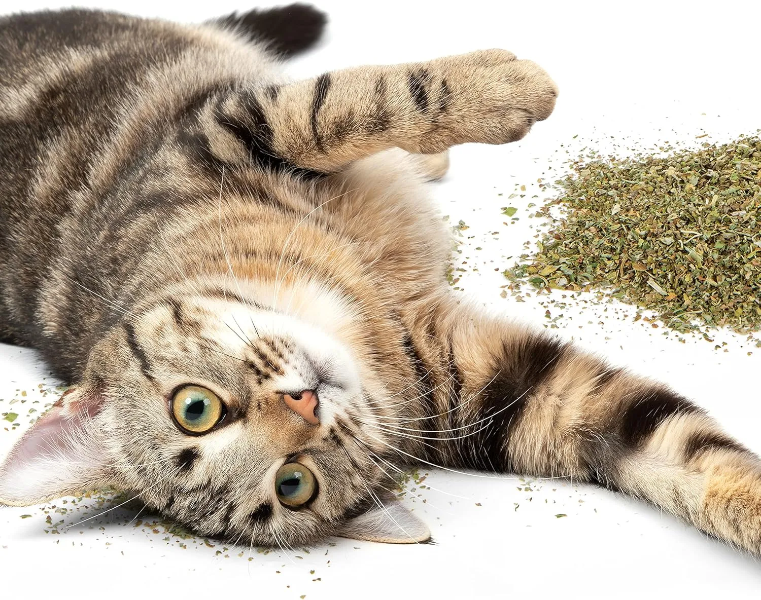 Petlinks HappyNip Catnip & Silvervine Blend for Cats & Kittens, Highly Potent Stimulant/Attractant, Great for Finicky Felines, Resealable Pouch - 2.0 oz