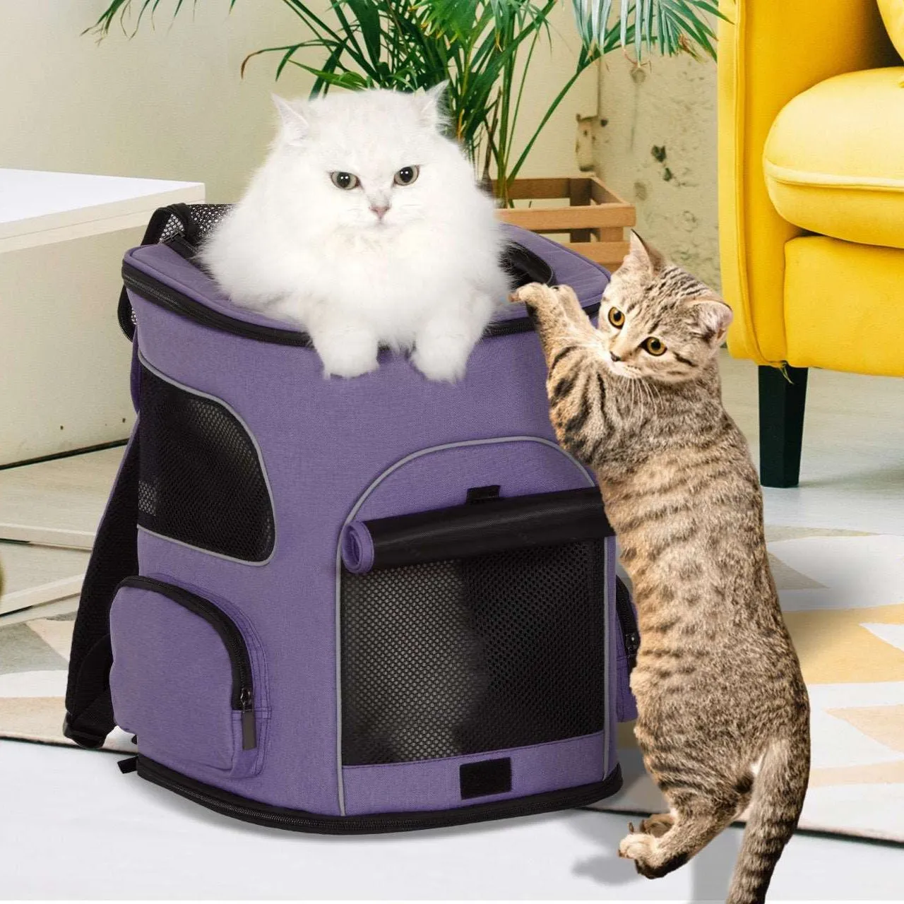 PETSFIT Pet Carrier Backpack with Upgraded Waist Protection Fully Ventilated Collapsible
