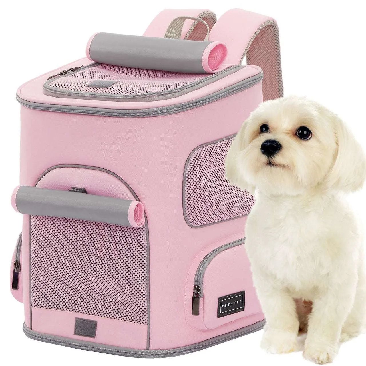 PETSFIT Pet Carrier Backpack with Upgraded Waist Protection Fully Ventilated Collapsible